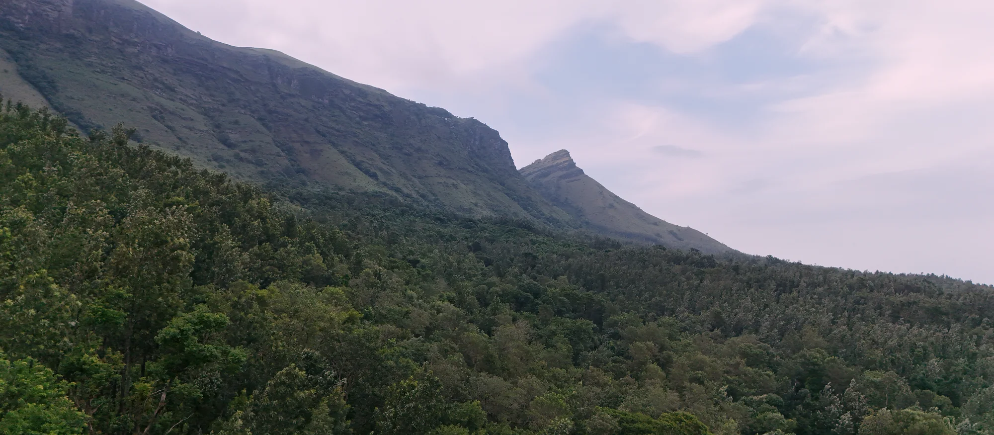 Mist over the Baba Budan Giri range, Chikmagalur