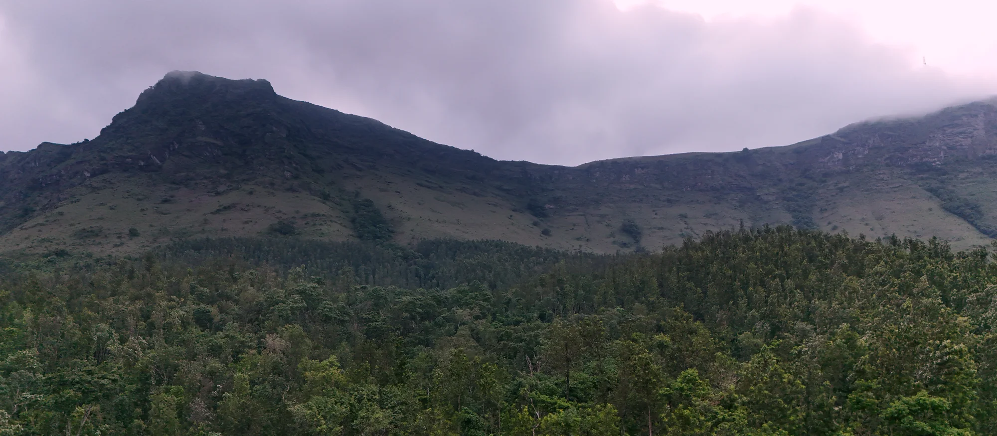 Mist over the Baba Budan Giri range, Chikmagalur