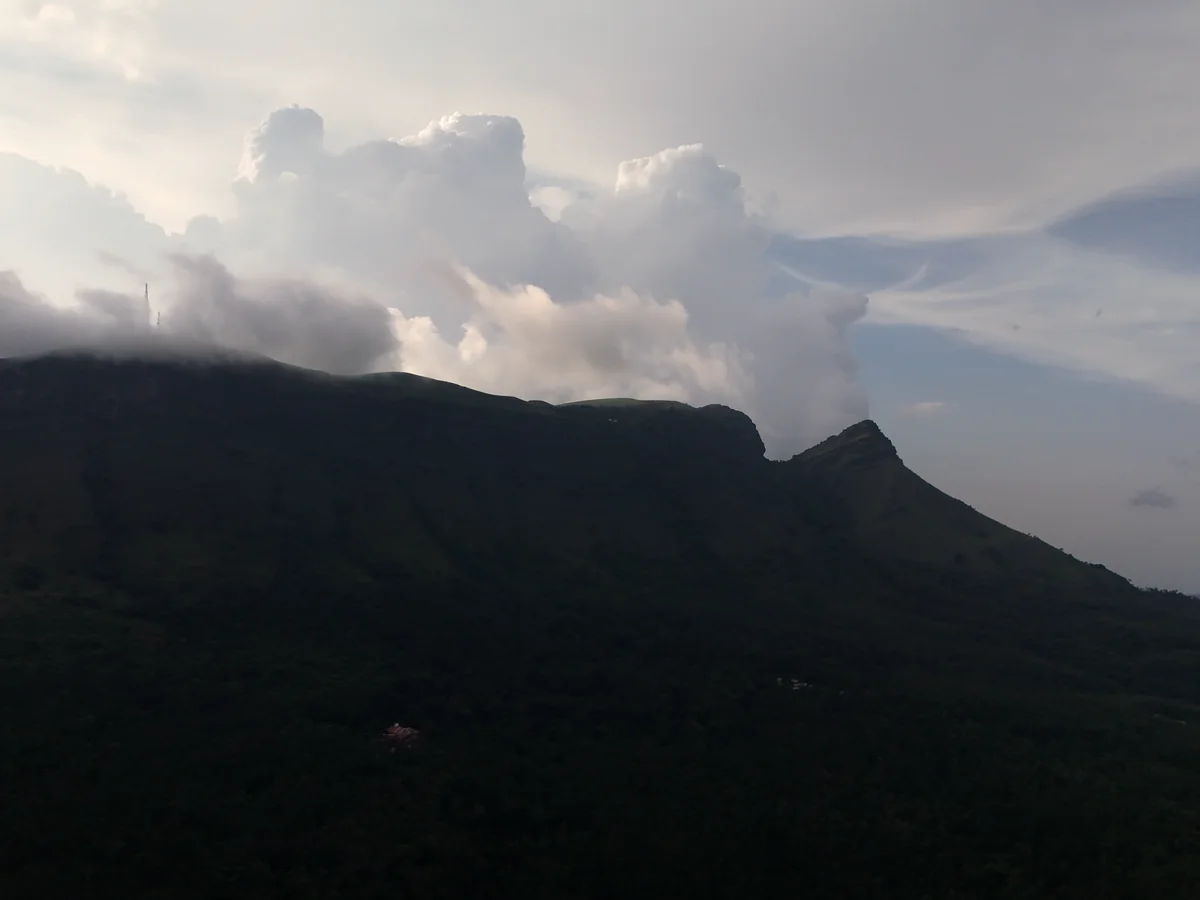 Coffee land in the Baba Budan Giri range