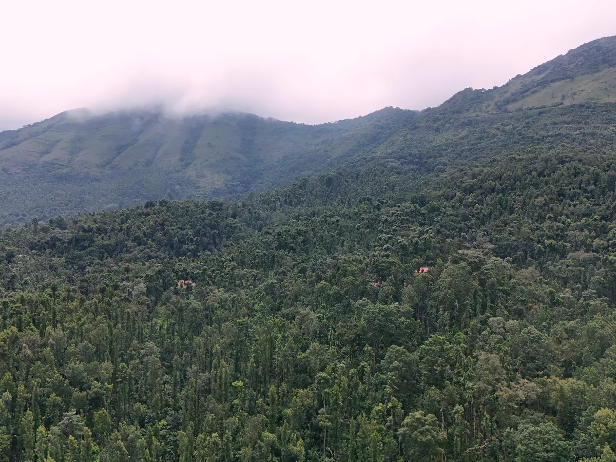 Udayagiri Estate under cloud