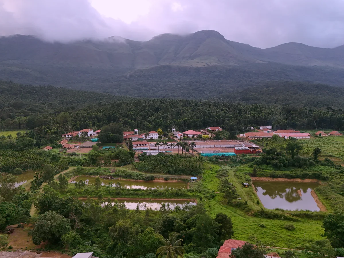The lake below Thogari Hunkal Estate
