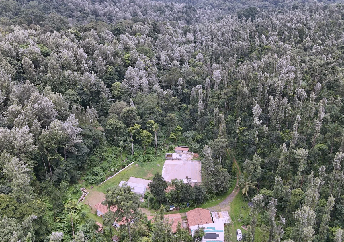 Udayagiri Estate