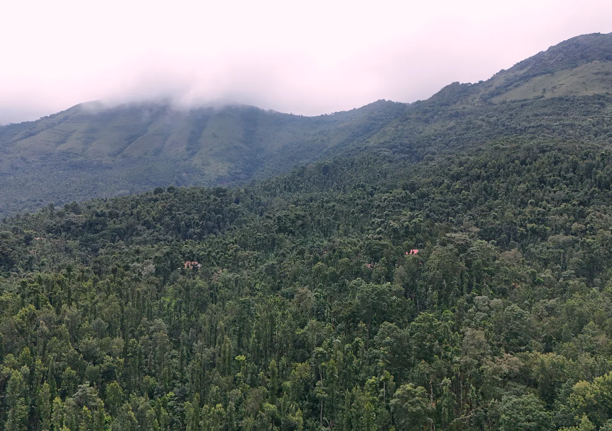 Udayagiri Estate